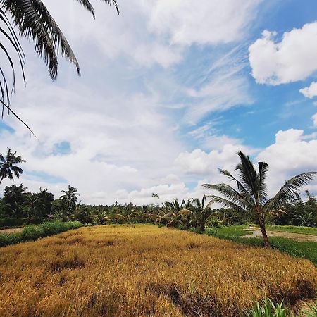 Bunga Maliq Bungalow Lombok Tetebatu Buitenkant foto