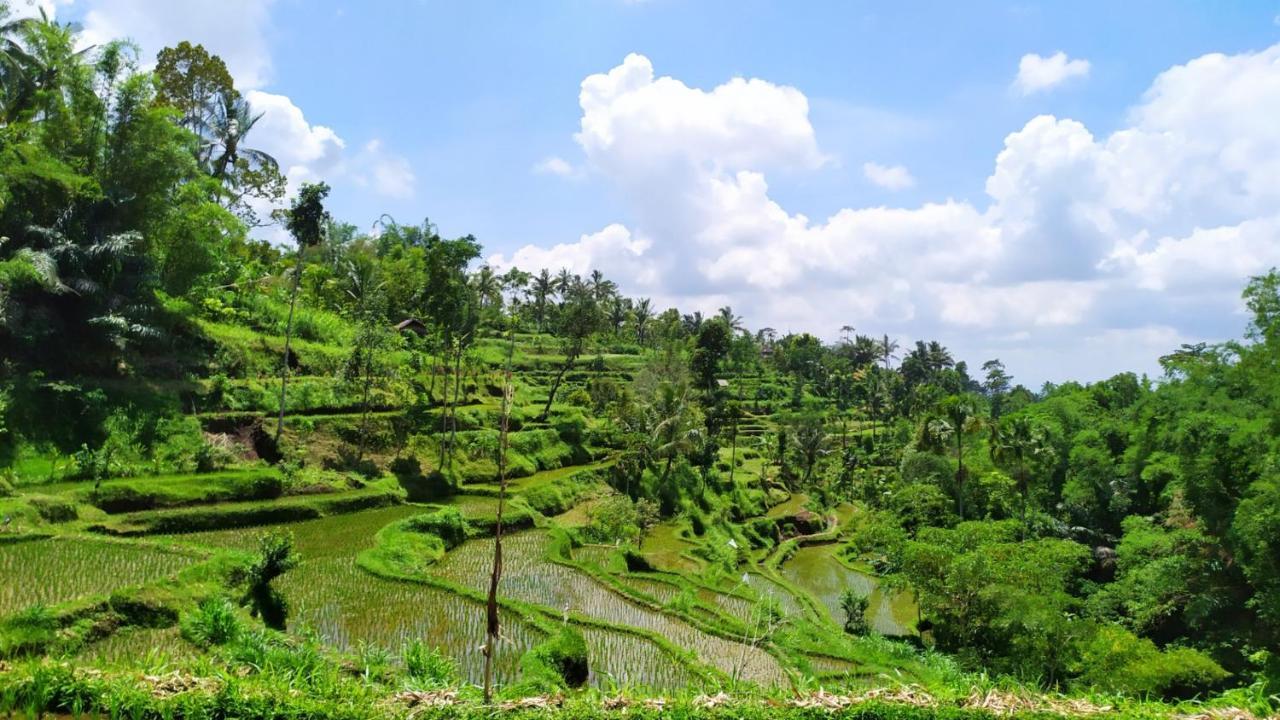 Bunga Maliq Bungalow Lombok Tetebatu Buitenkant foto
