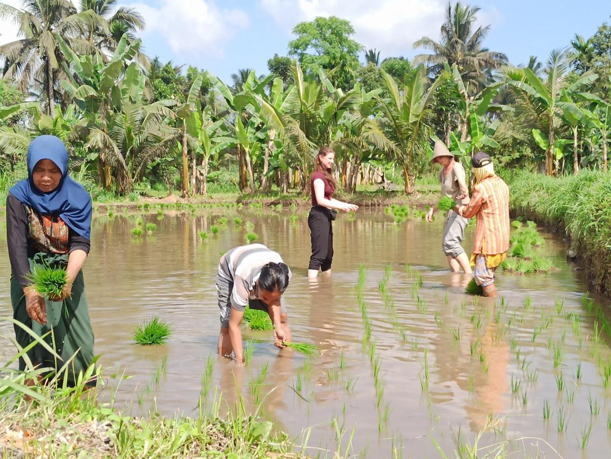 Bunga Maliq Bungalow Lombok Tetebatu Buitenkant foto