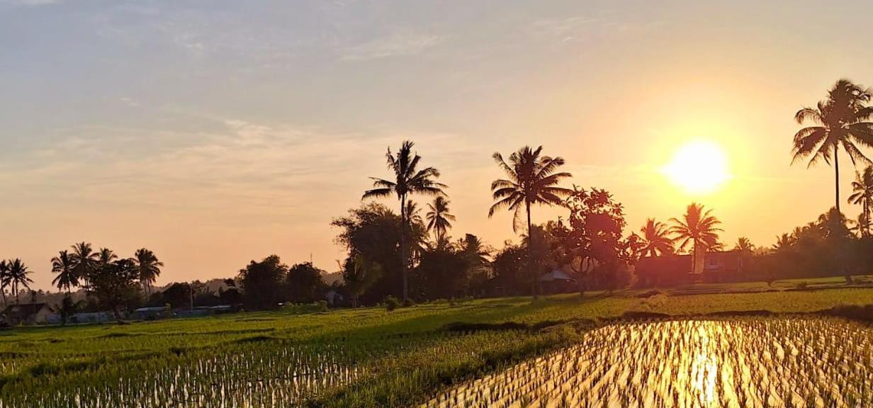 Bunga Maliq Bungalow Lombok Tetebatu Buitenkant foto