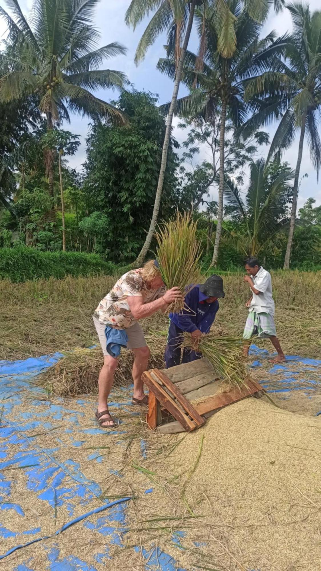 Bunga Maliq Bungalow Lombok Tetebatu Buitenkant foto