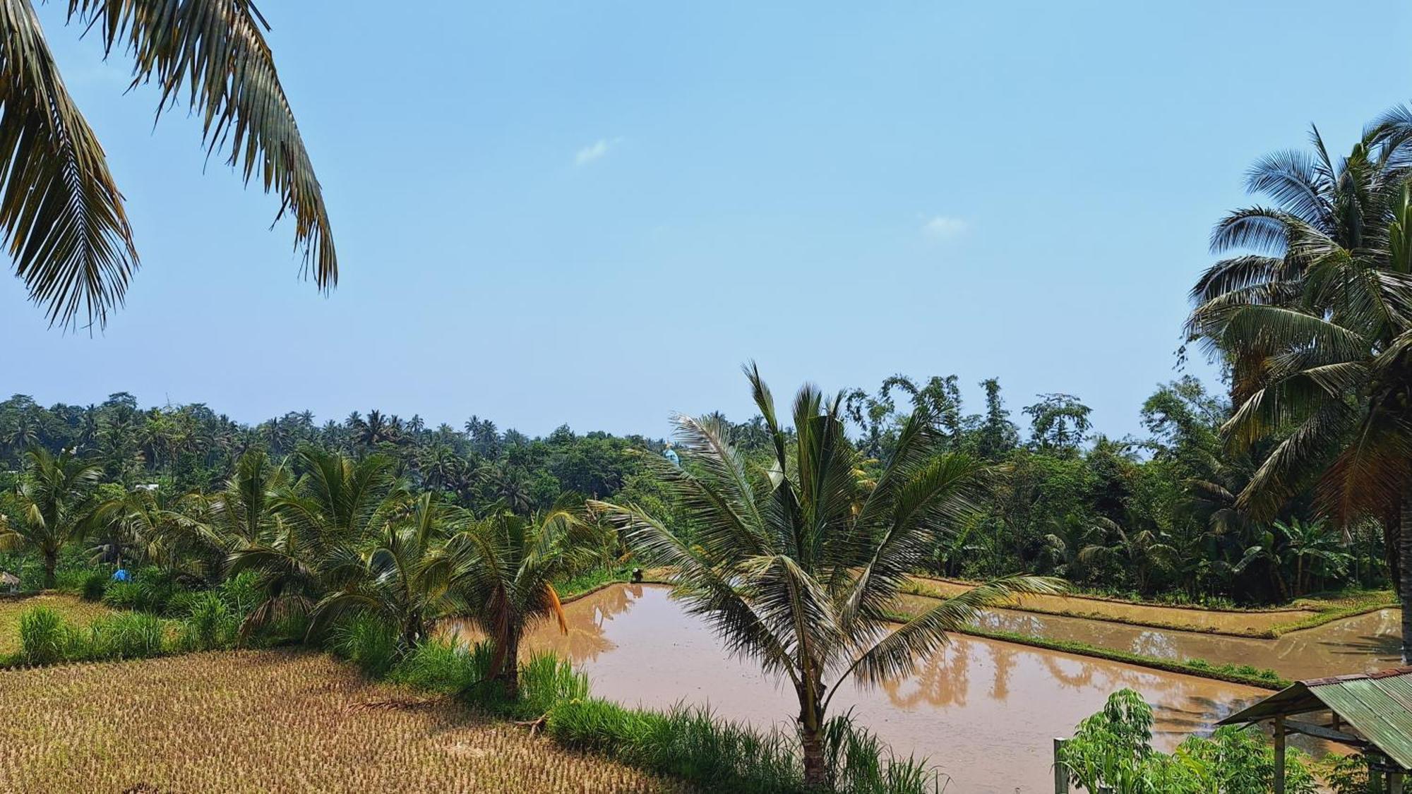 Bunga Maliq Bungalow Lombok Tetebatu Buitenkant foto