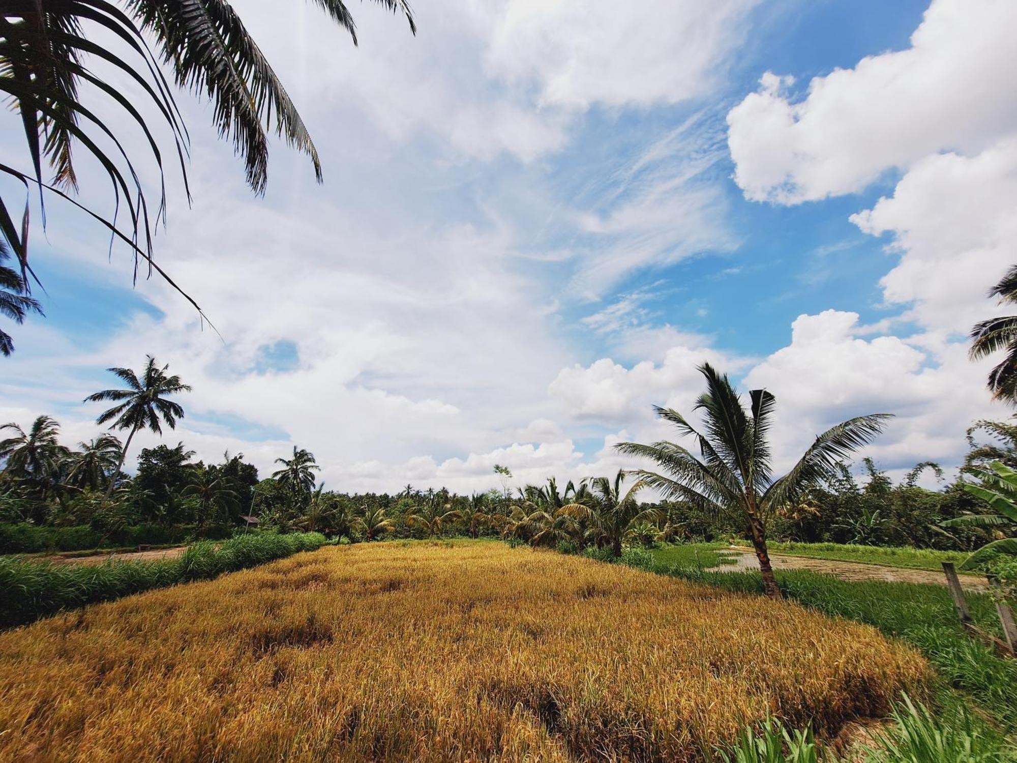Bunga Maliq Bungalow Lombok Tetebatu Buitenkant foto